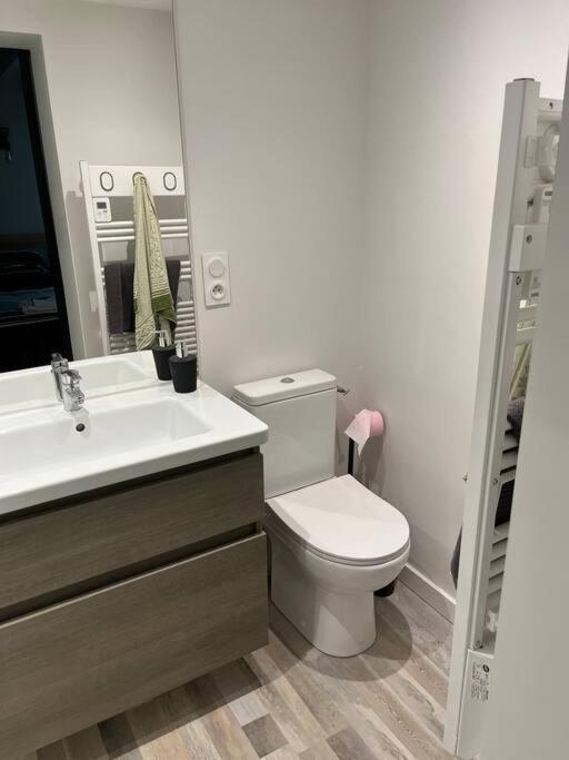 Loft Relais Coeur De France Villa Vierzon Kültér fotó